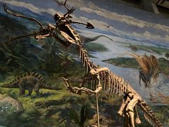 -自贡恐龙博物馆