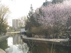 -团结湖公园
