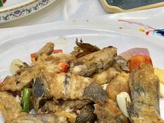-有腥气私房菜·寻味顺德