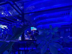 -bluefrog蓝蛙(皇庭广场店)