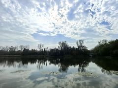 -溱湖国家湿地公园