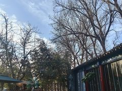 -中卫御苑福膳·养生局(圆明园店)
