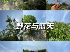 -白水寺森林公园