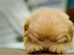 -中影火星湖影城(江门新会店)