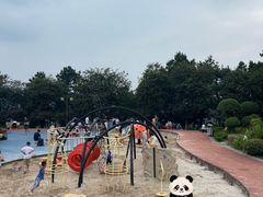 -铁山坪森林公园