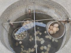 -凤翔首邑温泉度假村