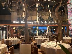 -桂满陇·海市蜃楼·黑金(国金店)