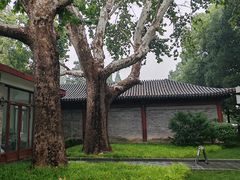 -清华大学-甲所餐厅