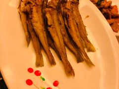 -外沙疍家棚酒楼