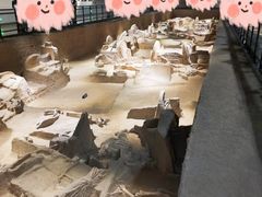 -洛阳周王城天子驾六博物馆