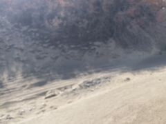 -金塔沙漠胡杨林景区
