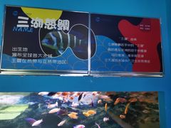 -沙沙哗啦海洋馆(华宇百花谷店)