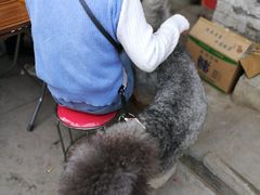 -吕家米皮