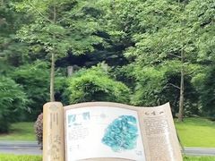 -广州市白云山风景名胜区