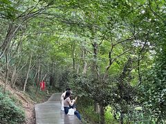 -上海佘山国家森林公园西佘山园