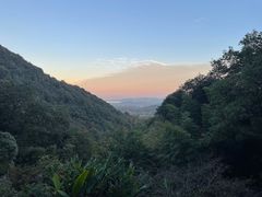 -韬光茶庵
