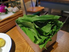 -同蛙阁美蛙鱼头火锅