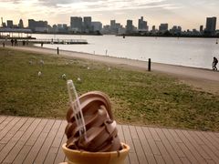 -台场海滨公园船码头