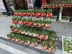 -溪岸路花鸟市场