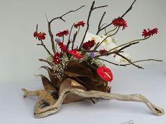 -重庆市江北嘴中央商务区中央公园