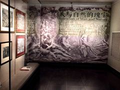 -北京大学赛克勒考古与艺术博物馆