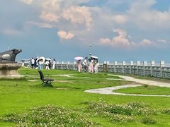 -观潮胜地公园