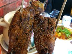 -天羽烤乳鸽店(财大家属院店)