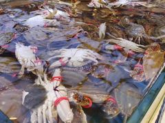 -集品鲜湾·蒸汽海鲜自助料理(青岛银座和谐广场店)