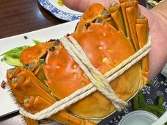 -小陆莲花蟹园农家乐(莲花岛店)