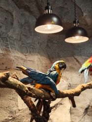 -Zoolung Zoolung动物主题公园(海信广场店)