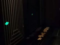 -Dragonfly悠庭·按摩Spa(静安嘉里中心店)