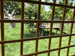 -上海野生动物园