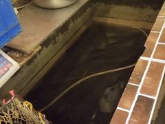 -重庆乌鱼庄·龙滋鲜(青羊大道店)