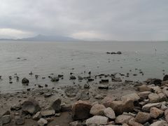 -深圳湾公园(南山区)