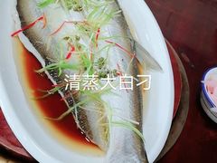 -丹水桥地锅鱼·翘嘴鲌·地方特色全鱼宴(丹江口大坝店)
