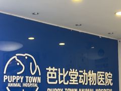 -芭比堂动物医院·心脏科·老年急重症·夜诊·吉雅分院