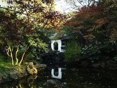 -秋霞圃