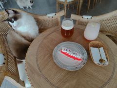 -共舞时光猫咖·狗咖(新街口店)