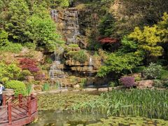 -铁山坪森林公园