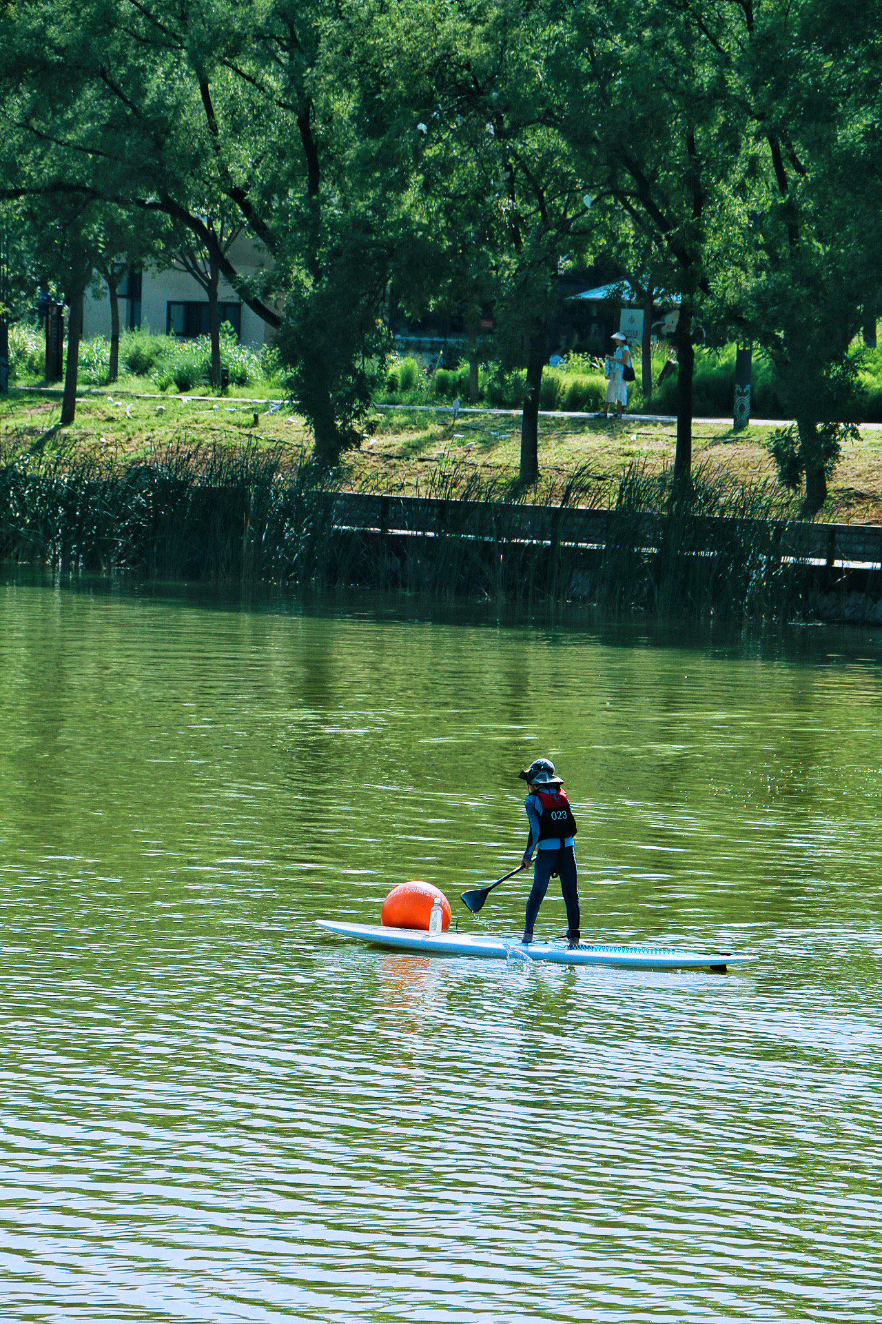 夏末秋初,微风清凉,自然界的绿意还在