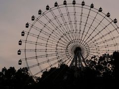 -温州乐园