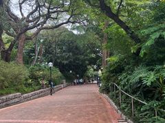 -九龙公园