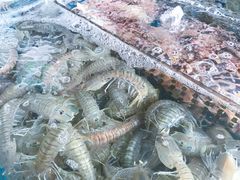 -亚龙湾8号(丁村万人海鲜广场店)