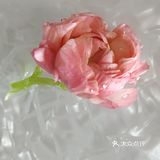 蛋黄酥里有蛋黄。老婆饼里肯定没有老婆