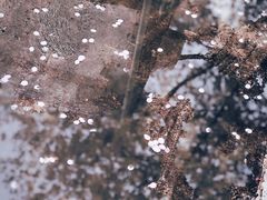 -上海南浦大桥长途旅游客运站