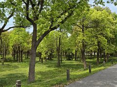 -嘉北郊野公园