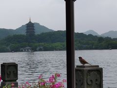 -杭州西湖柳莺里酒店