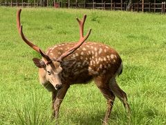 -良渚古城遗址公园