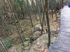 -白水湾景区