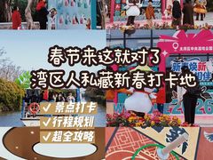 -大湾区中央湿地公园